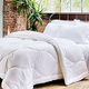 Buffy Cloud Down Alternative Comforter (Twin/XL) | $65 | Bed Bath & Beyond
Buffy Cloud Down Alternative Comforter (Full/Q) | $80 | Bed Bath & Beyond